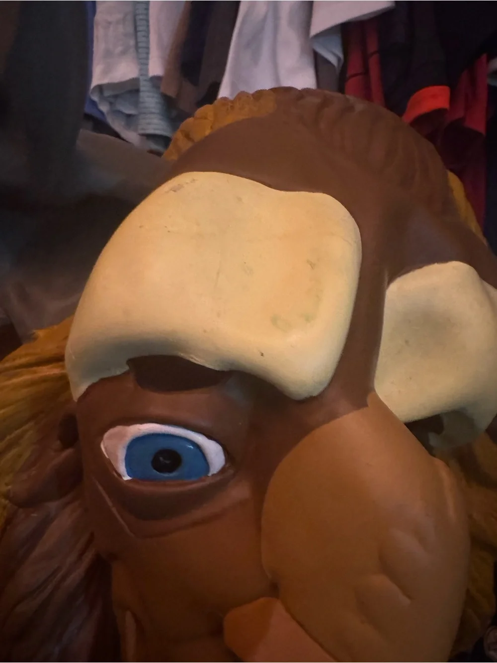 Beauty & The Beast Costumes